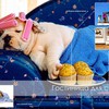Гостиницы для собак