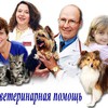 Экстренная ветеринарная помощь
